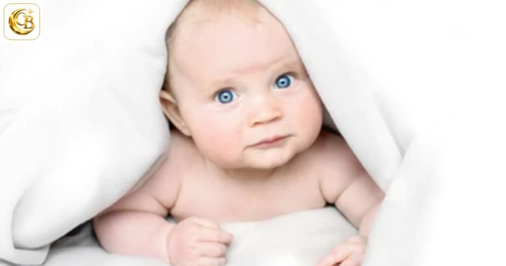 Congratulations on Your Grandson