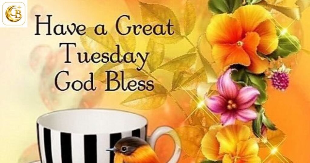 tuesday morning