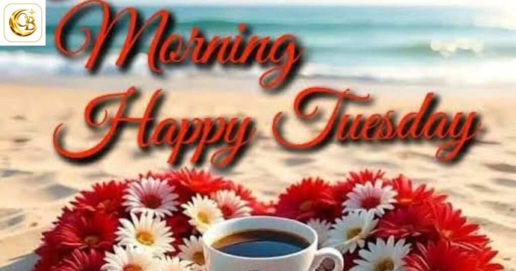tuesday morning