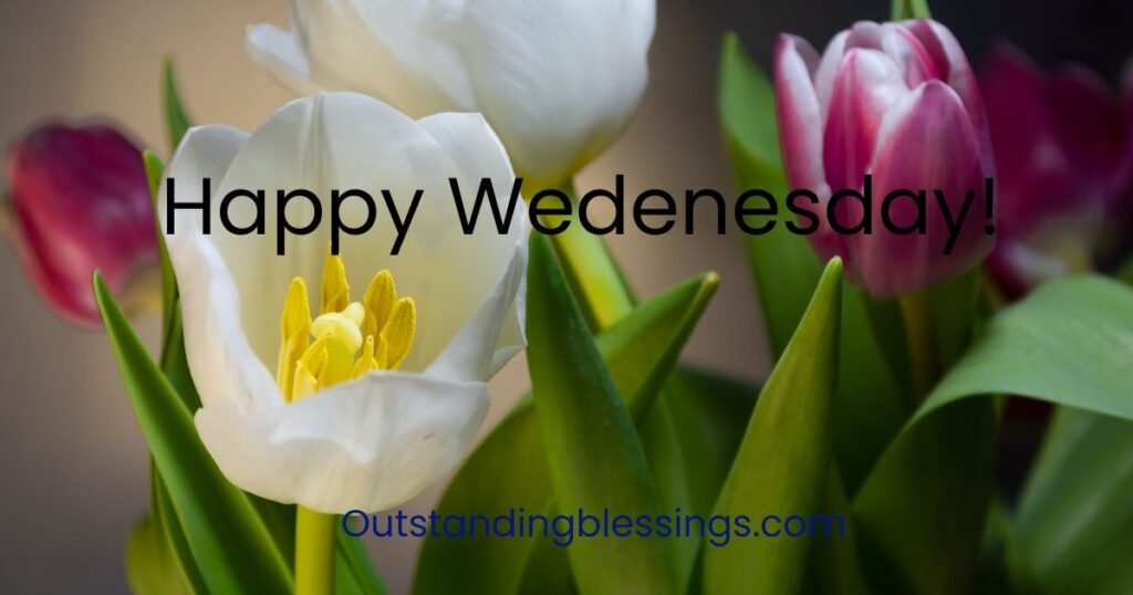 Wednesday Blessings
