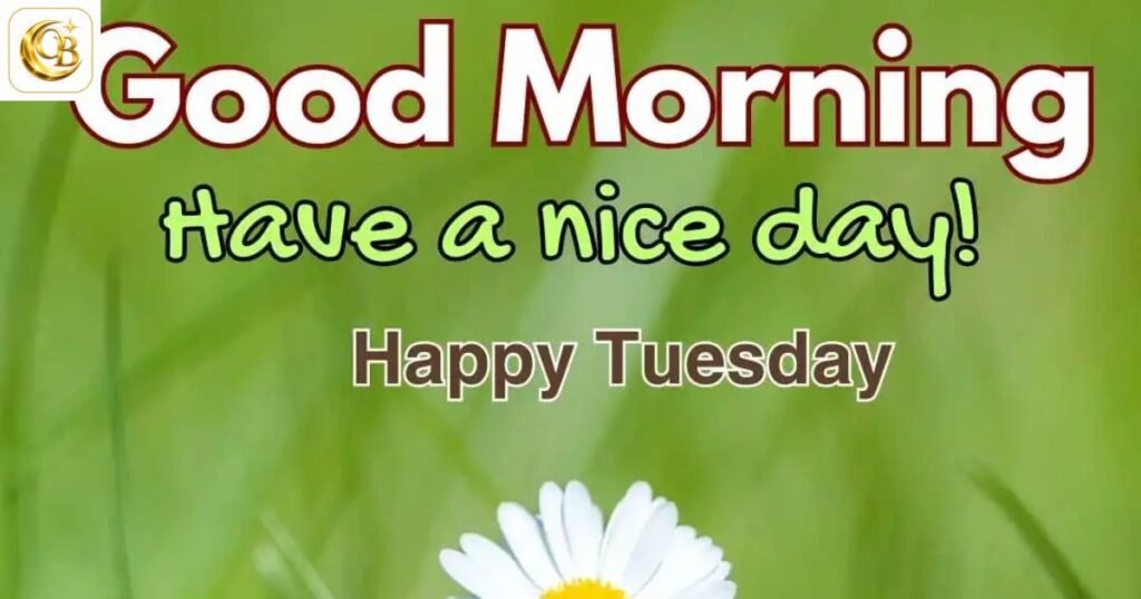 tuesday morning
